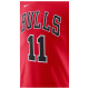 Nike Ανδρική κοντομάνικη μπλούζα Chicago Bulls